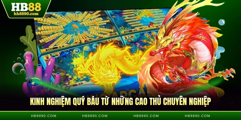 Kinh nghiệm quý báu từ những cao thủ chuyên nghiệp