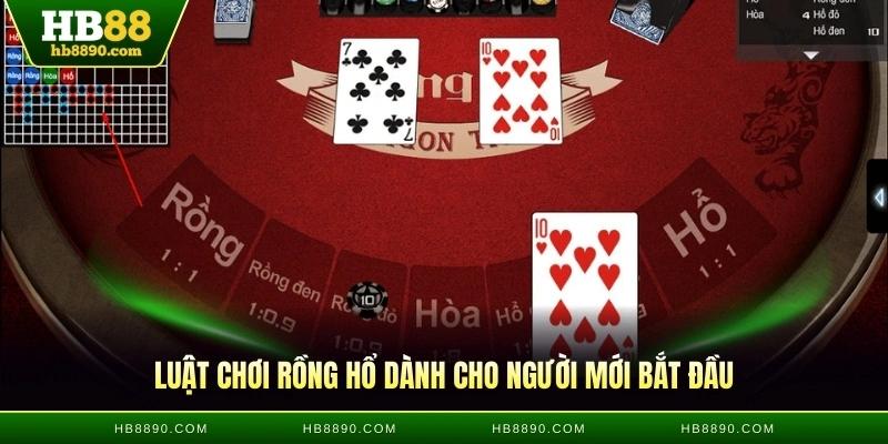 Luật chơi Rồng Hổ dành cho người mới bắt đầu